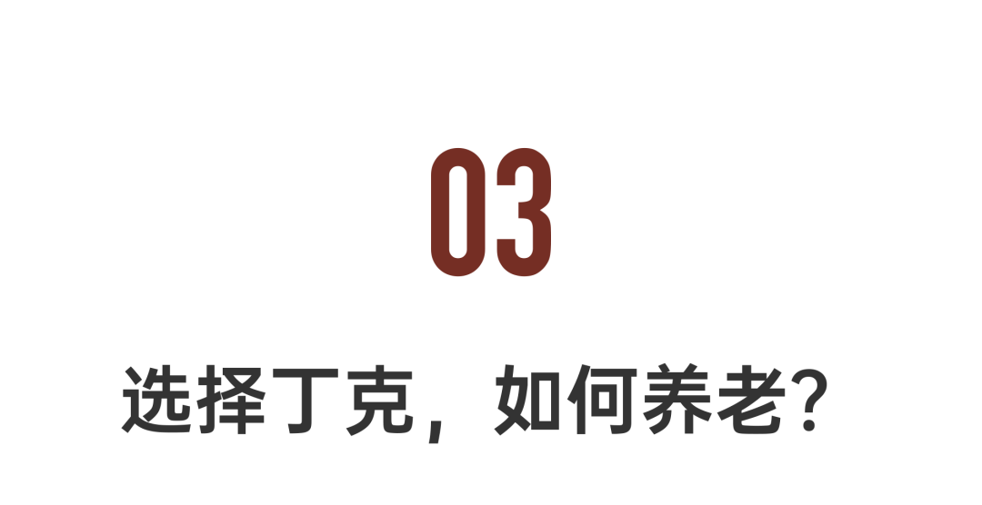 老年人丁克的生活方式_丁克的养老问题_丁克老人如何养老